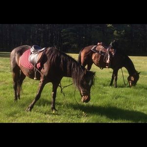 Meet your Posher, Jaroslav